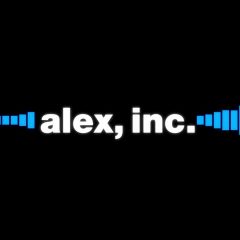 Alex, Inc. Season 1 screenshot 10