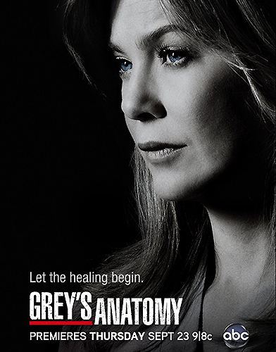 Grey’s Anatomy Season 10 poster