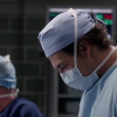 Grey’s Anatomy Season 12 screenshot 6