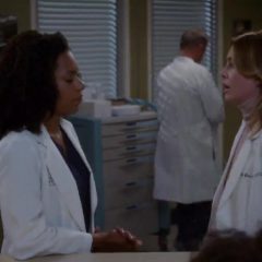 Grey’s Anatomy Season 13 screenshot 1