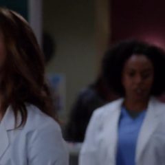 Grey’s Anatomy Season 13 screenshot 3