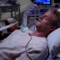 Grey’s Anatomy Season 9 screenshot 5
