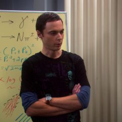 The Big Bang Theory Season 4 screenshot 5