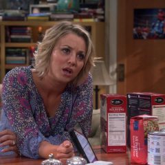 The Big Bang Theory Season 9 screenshot 10