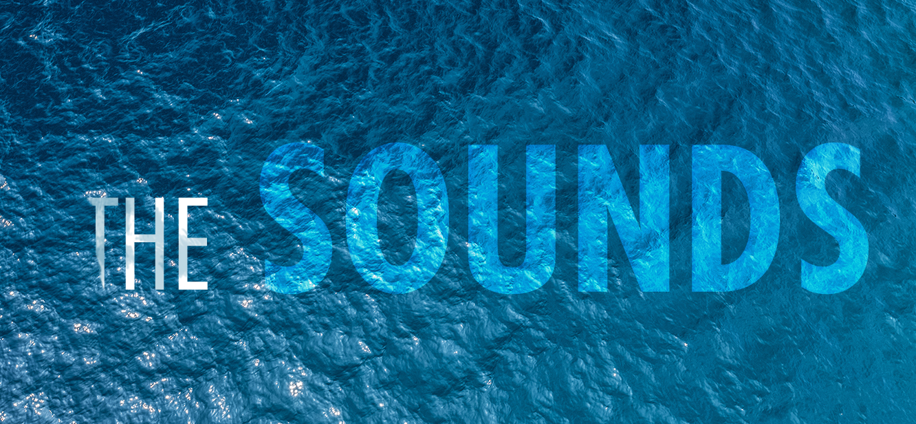 The Sounds Season 1 tv series Poster