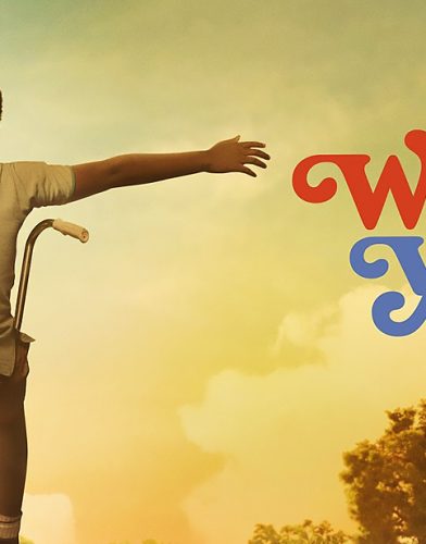 The Wonder Years tv series poster