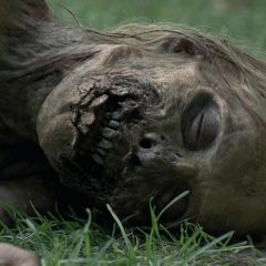 The Walking Dead Season 1 screenshot 7