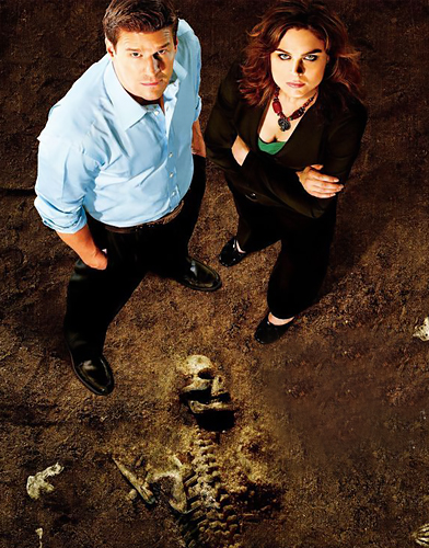 Bones Season 1 poster