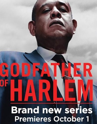 Godfather of Harlem tv series poster