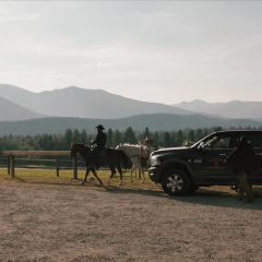Yellowstone Season 5 screenshot 6